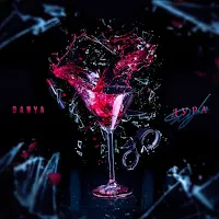 Danya — Дура — обложка
